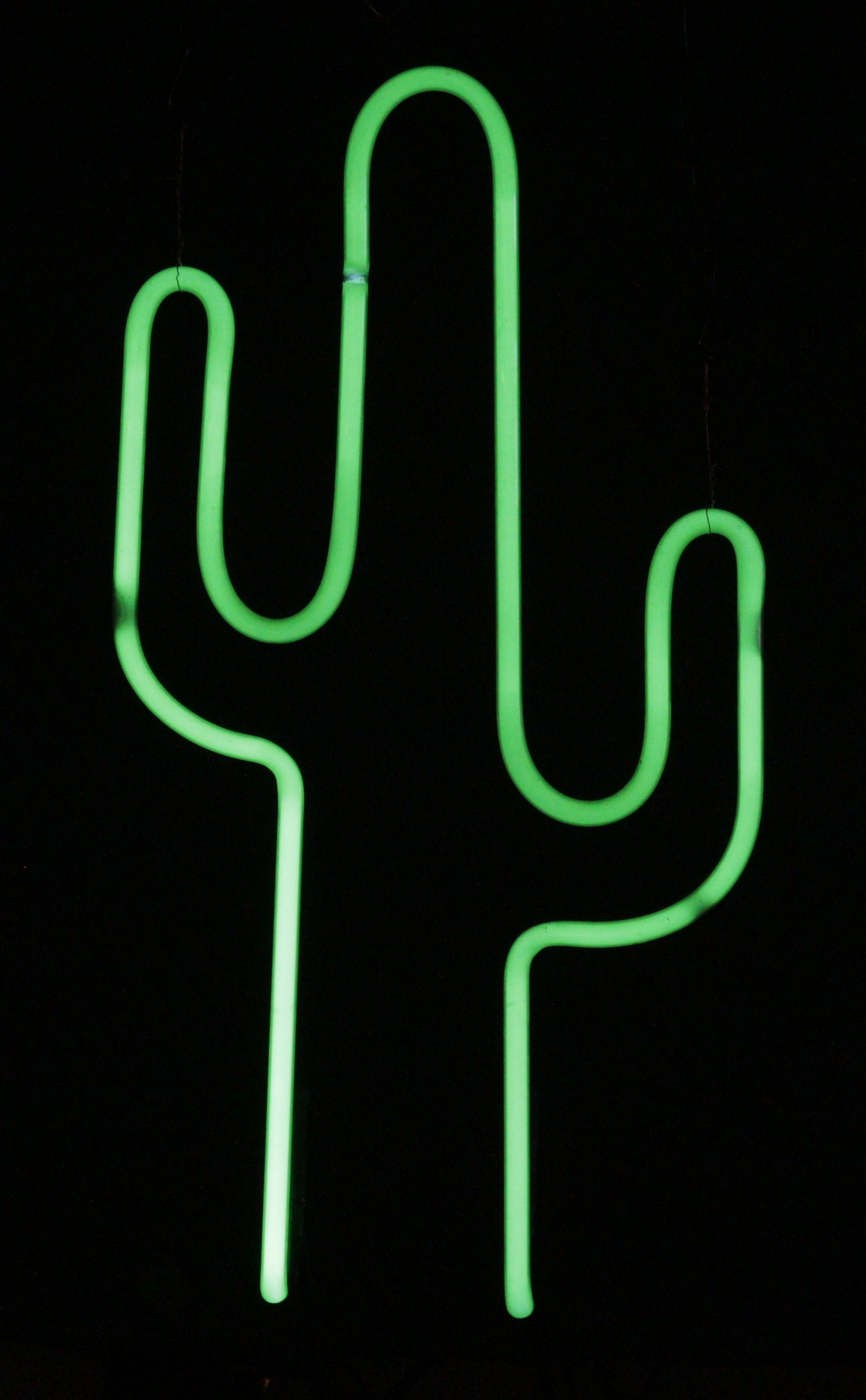 CACTUS neon sign