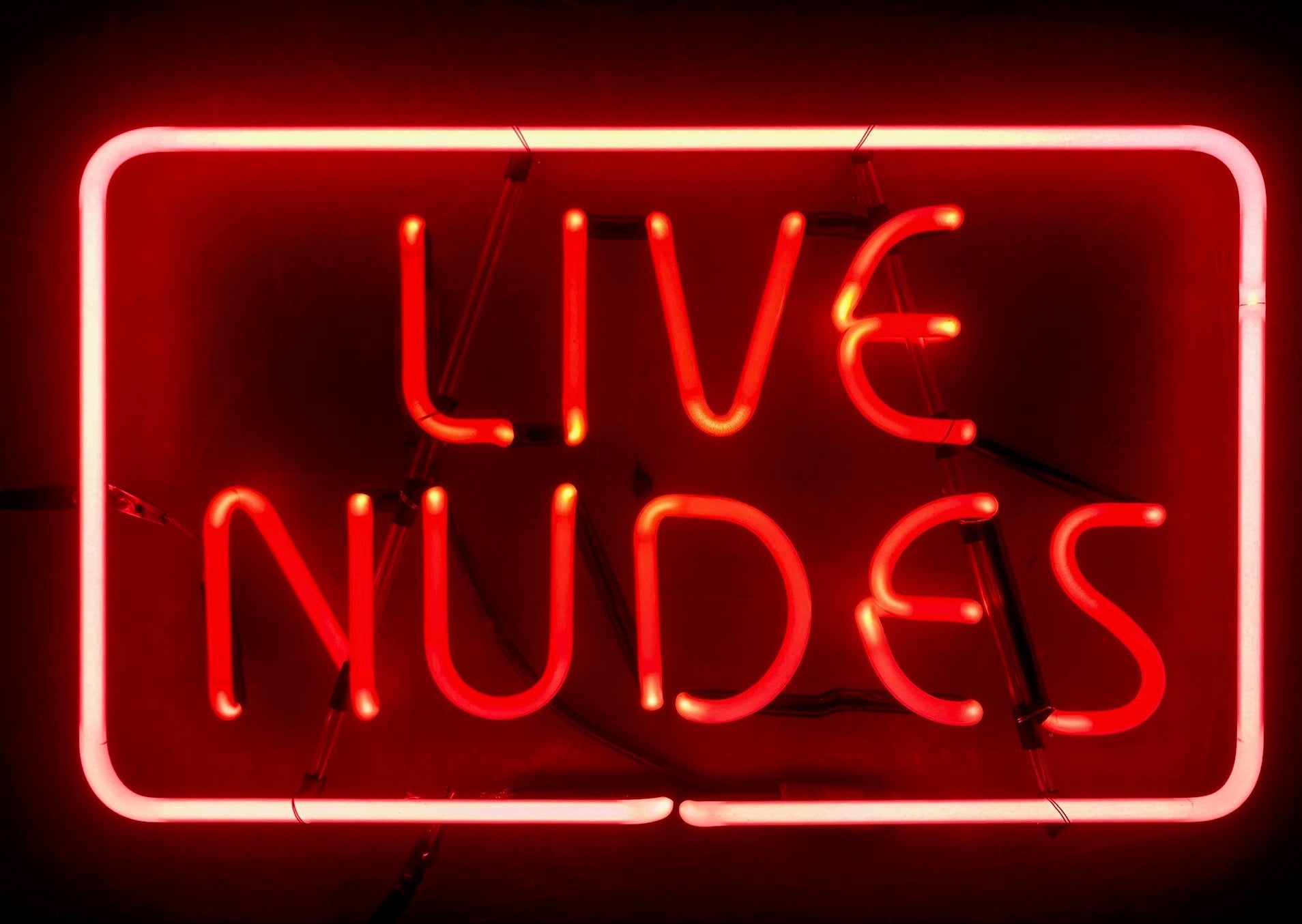 LIVE NUDES neon sign