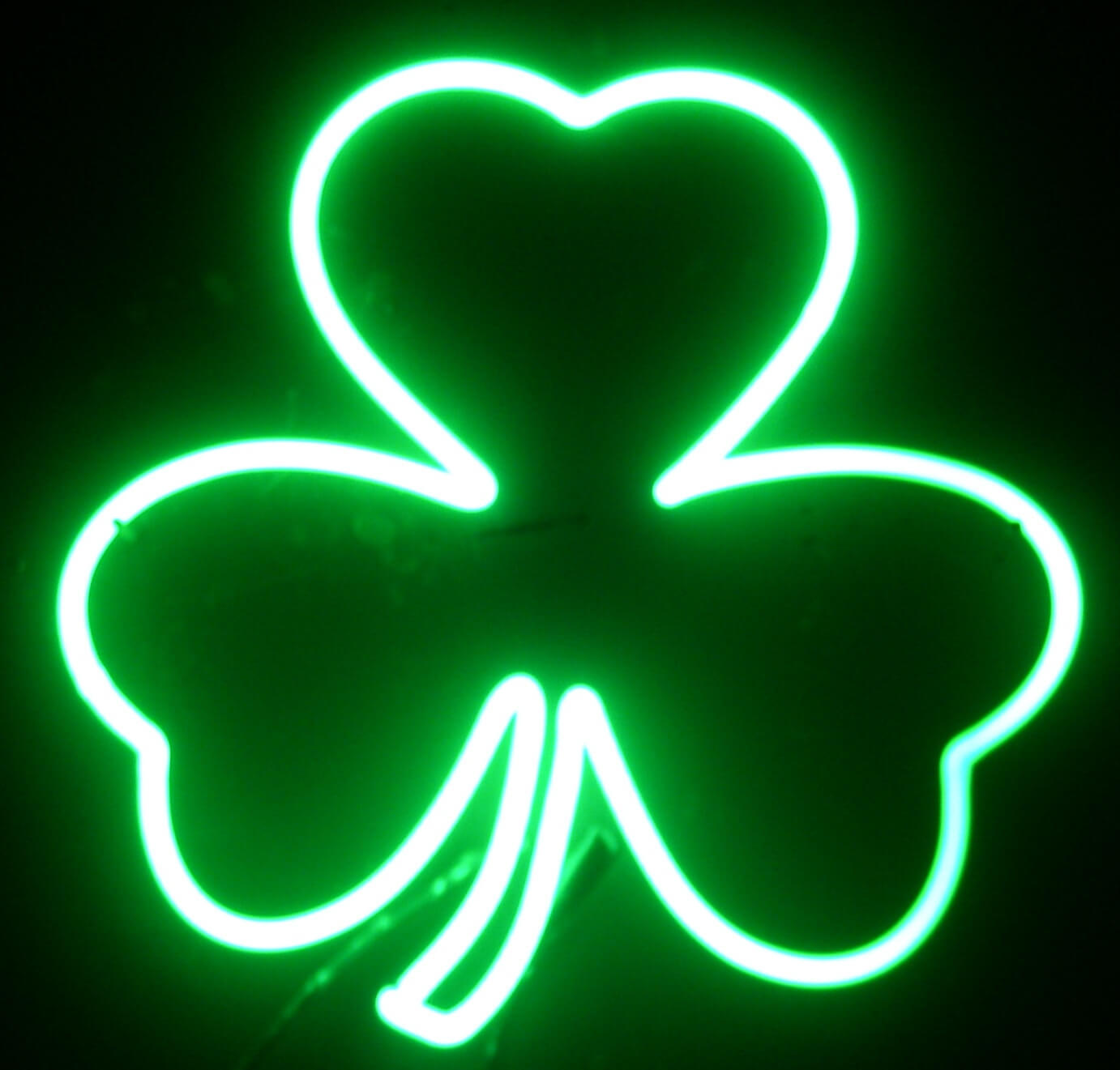 SHAMROCK neon sign